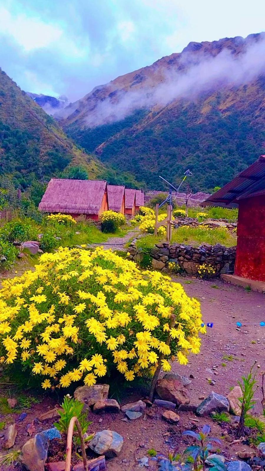 Cabanas Andinas Eco Lodge Mama Andrea Soray Dış mekan fotoğraf